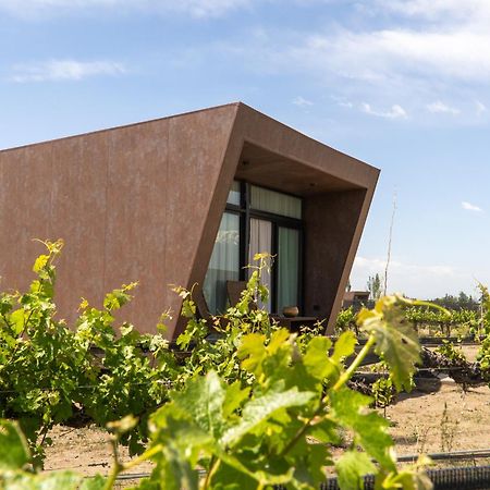 Andeluna Winery Lodge توبونغاتو المظهر الخارجي الصورة